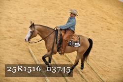 25R1516_03745 thumbnail