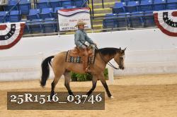 25R1516_03746 thumbnail