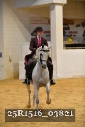 25R1516_03821 thumbnail
