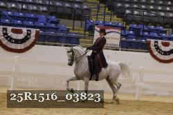 25R1516_03823 thumbnail