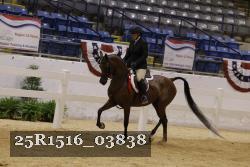 25R1516_03838 thumbnail