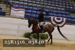 25R1516_03840 thumbnail