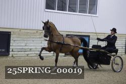 25SPRING_00019 thumbnail