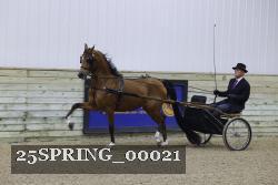 25SPRING_00021 thumbnail