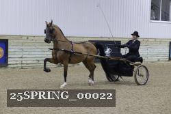 25SPRING_00022 thumbnail