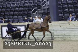 25SPRING_00023 thumbnail