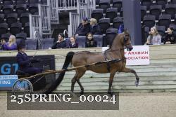 25SPRING_00024 thumbnail