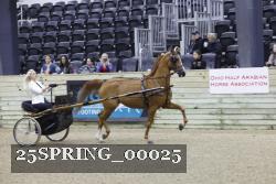 25SPRING_00025 thumbnail