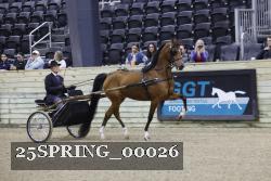 25SPRING_00026 thumbnail