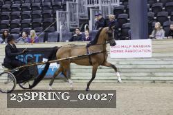 25SPRING_00027 thumbnail