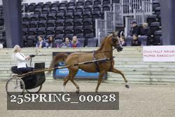 25SPRING_00028 thumbnail
