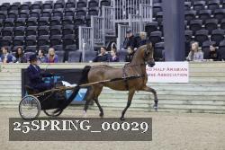 25SPRING_00029 thumbnail