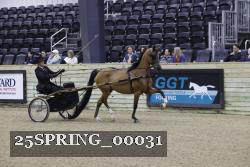 25SPRING_00031 thumbnail