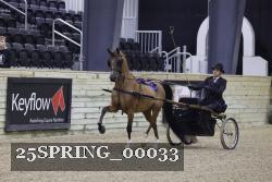 25SPRING_00033 thumbnail