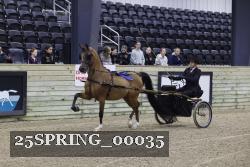 25SPRING_00035 thumbnail