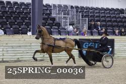 25SPRING_00036 thumbnail