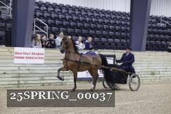 25SPRING_00037 thumbnail