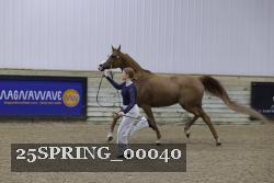 25SPRING_00040 thumbnail