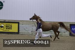25SPRING_00041 thumbnail