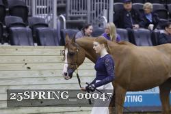 25SPRING_00047 thumbnail