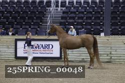 25SPRING_00048 thumbnail