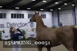 25SPRING_00051 thumbnail