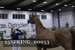 25SPRING_00053 thumbnail