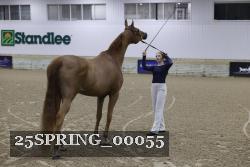 25SPRING_00055 thumbnail