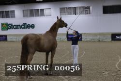25SPRING_00056 thumbnail