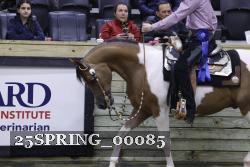 25SPRING_00085 thumbnail