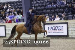 25SPRING_00166 thumbnail