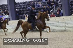 25SPRING_00167 thumbnail
