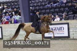 25SPRING_00171 thumbnail