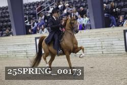 25SPRING_00173 thumbnail