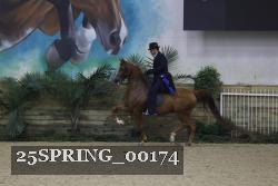 25SPRING_00174 thumbnail