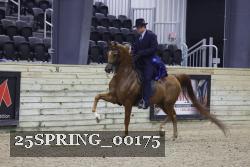 25SPRING_00175 thumbnail