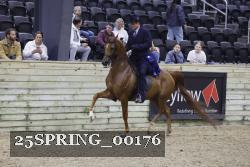 25SPRING_00176 thumbnail