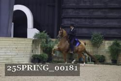 25SPRING_00181 thumbnail