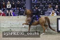 25SPRING_00186 thumbnail