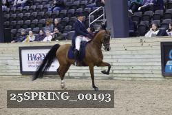 25SPRING_00193 thumbnail