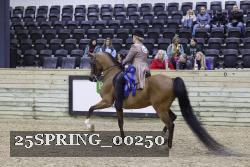 25SPRING_00250 thumbnail