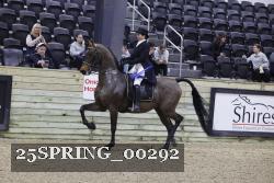 25SPRING_00292 thumbnail