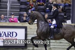 25SPRING_00293 thumbnail