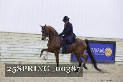 25SPRING_00387 thumbnail