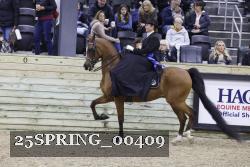 25SPRING_00409 thumbnail