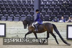 25SPRING_00473 thumbnail
