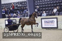25SPRING_00495 thumbnail