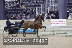 25SPRING_00497 thumbnail
