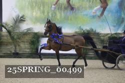 25SPRING_00499 thumbnail