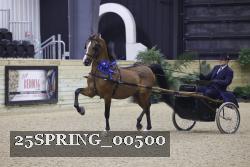 25SPRING_00500 thumbnail